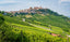 Barolo Wine